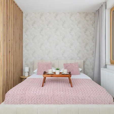 Pink & Blue Cozy Studio In By Renters Apartment Krakow